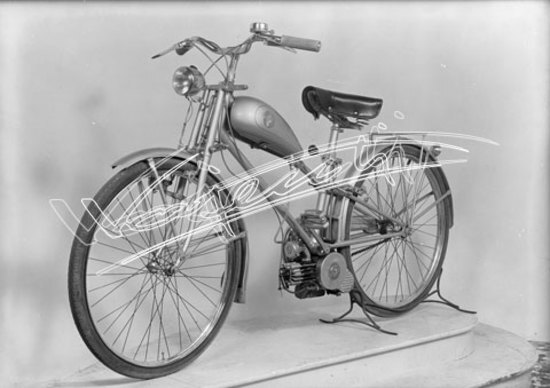 Cicli GOTT : di Chemello e Cappelletti. lastra di vetro - negativo bianco e nero fto mm 130x180