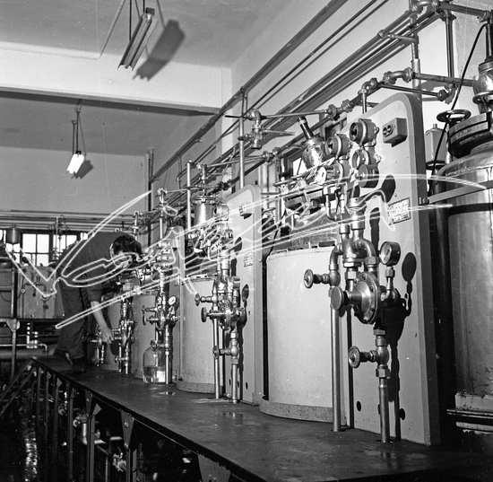 Demanio Acque di Recoaro. Pellicola - negativo bianco e nero - f.to mm 60x60