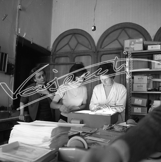 Vajenti - La storia. pellicola - negativa B&N f.to mm 60x60