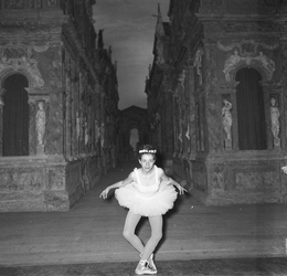 Scuola di danza Vanna Busolini Scuola di danza Vanna Busolini