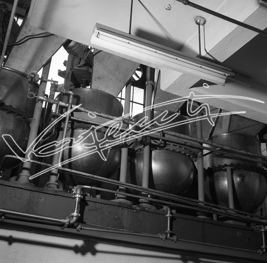 Demanio Acque di Recoaro. Pellicola - negativo bianco e nero - f.to mm 60x60