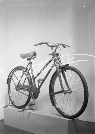 Cicli GOTT : di Chemello e Cappelletti. lastra di vetro - negativo bianco e nero fto mm 130x180