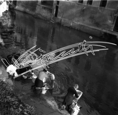 Lavandare: Fiume Retrone. pellicola - negativo bianco e nero fto mm 60x60