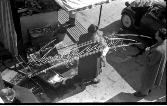 Piazza delle Erbe. pellicola - negativo bianco e nero fto mm 24X36