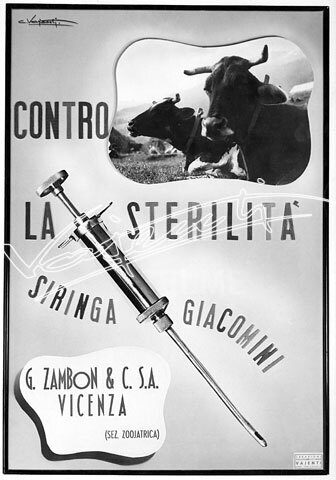 Farmaceutica Zambon. stampa fotografica bianconero su cartoncino f.to 230x160 mm