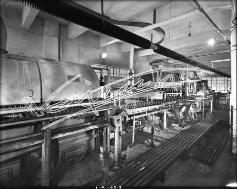 Demanio Acque di Recoaro. lastra di vetro - negativo bianco e nero fto mm 240X300