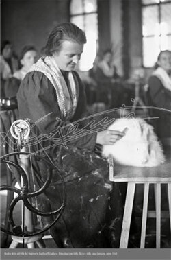 Coniglio d Angora Mostra in Basilica Palladiana 1942