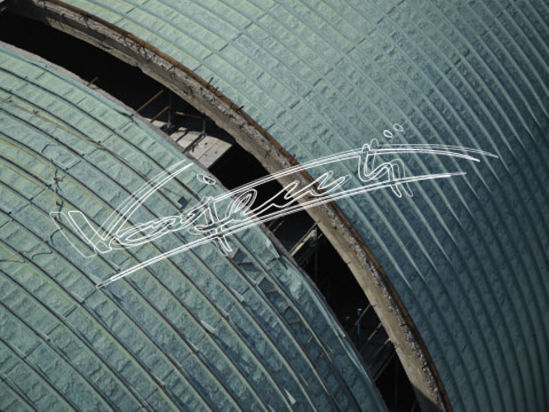 Basilica Palladiana : restauro 2007. digitale colore 63 MB