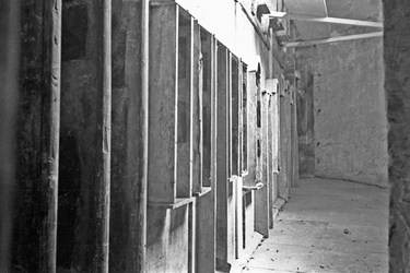 L Olimpico Film Teatro Olimpico