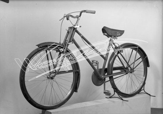 Cicli GOTT : di Chemello e Cappelletti. lastra di vetro - negativo bianco e nero fto mm 130x180