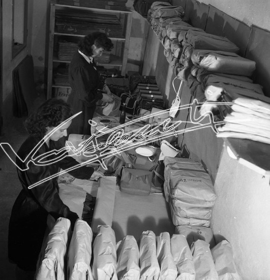 La Palladiana Fabbrica Borsette. Pellicola - negativo bianco e nero fto mm 60x60