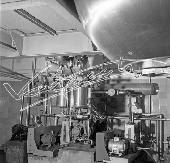 Demanio Acque di Recoaro. Pellicola - negativo bianco e nero - f.to mm 60x60