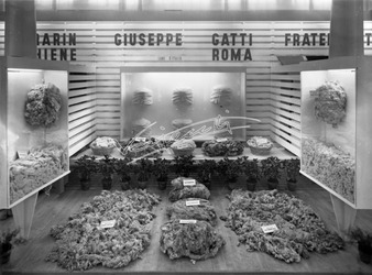 Fiera Campionaria di Vicenza 1950 Stand Lanificio Giuseppe Gatti Fiera Campionaria di Vicenza 1950 Stand Lanificio Giuseppe Gatti