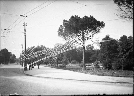 Campo Marzo. lastra di vetro - negativo bianco e nero fto mm 130x180