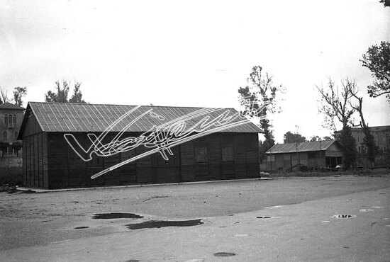 Campo Marzo. pellicola - negativo bianco e nero fto mm 60X90