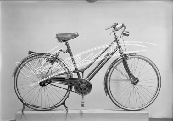 Cicli GOTT : di Chemello e Cappelletti. lastra di vetro - negativo bianco e nero fto mm 130x180