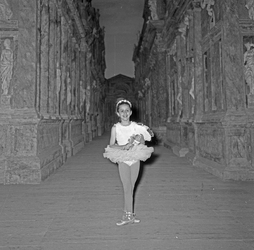 Scuola di danza Vanna Busolini Scuola di danza Vanna Busolini