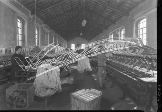 Filanda Bocchese : Lavorazione della seta. pellicola-negativo bianco e nero-13X18