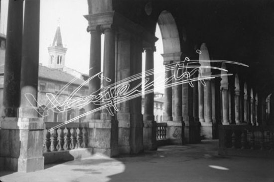 Basilica Palladiana. pellicola - negativo bianco e nero fto mm 60x90
