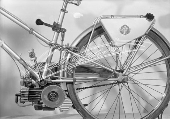 Cicli GOTT : di Chemello e Cappelletti. lastra di vetro - negativo bianco e nero fto mm 130x180