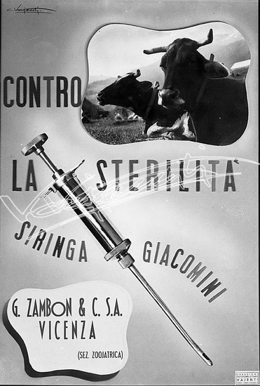 Farmaceutica Zambon. Pellicola - negativo bianco e nero f.to mm 130x180