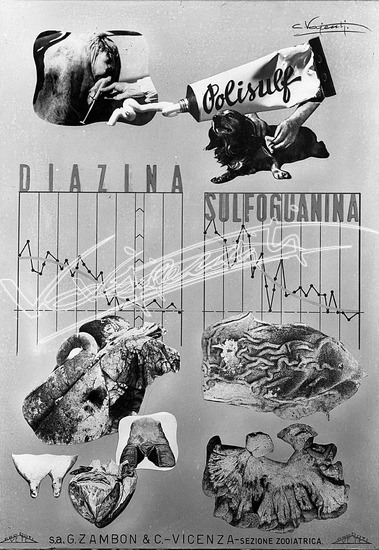 Farmaceutica Zambon. Pellicola - negativo bianco e nero f.to mm 130x180