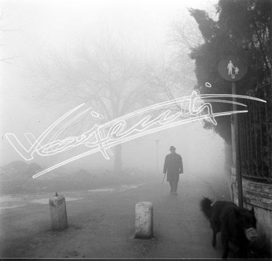 Campo Marzo. pellicola - negativo bianco e nero fto mm 60x60