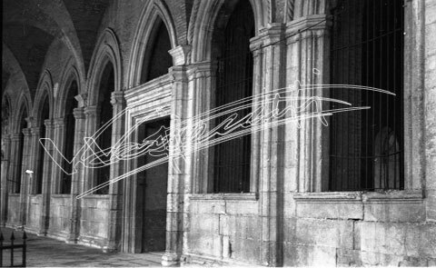 Basilica Palladiana : restauro 1947-1951. pellicola-negativo bianco e nero-24X36