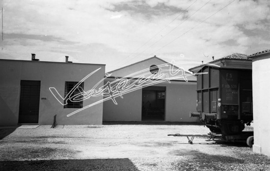 Ditta Tostato Brasil. pellicola - negativo bianco e nero fto mm 60x80