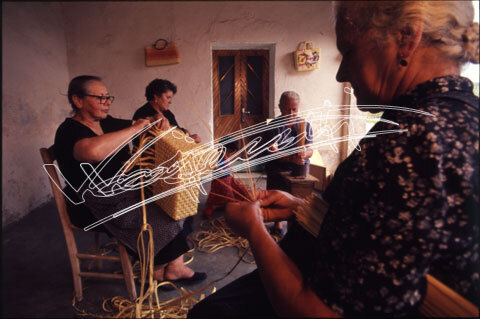 Lavorazione della Paglia : a Marostica. diapositiva 24x36 mm