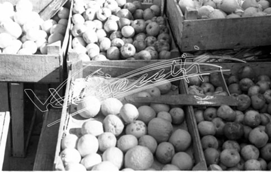 Piazza delle Erbe. pellicola - negativo bianco e nero fto mm 24X36