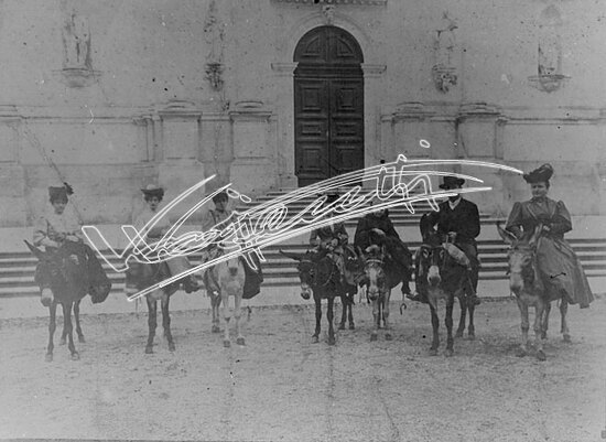 Monte Berico: Gita con gli asinelli. pellicola - negativo bianco e nero fto mm 100x120