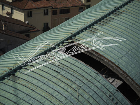 Basilica Palladiana : restauro 2007. digitale colore 63 MB