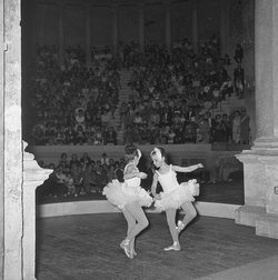 Scuola di danza Vanna Busolini Scuola di danza Vanna Busolini
