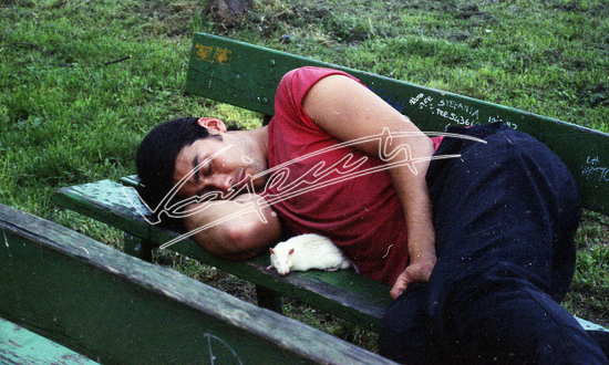 Campo Marzo. pellicola - negativo colore f.to mm 24x36