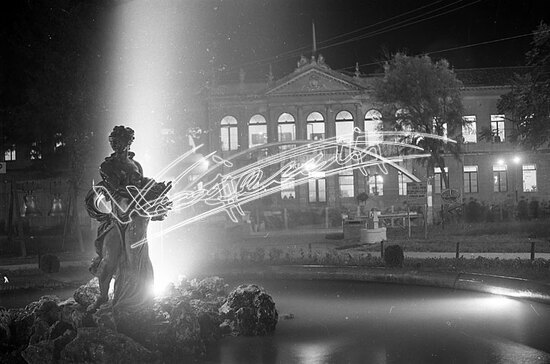 Fiera Campionaria di Vicenza 1946 : Giardino Salvi. pellicola - negativo bianco e nero fto mm 60X90