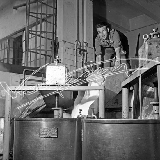 Demanio Acque di Recoaro. Pellicola - negativo bianco e nero - f.to mm 60x60