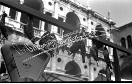 Piazza delle Erbe. pellicola - negativo bianco e nero fto mm 24X36