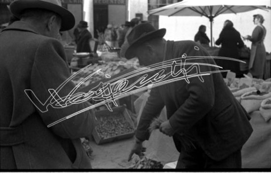 Piazza delle Erbe. pellicola - negativo bianco e nero fto mm 24X36