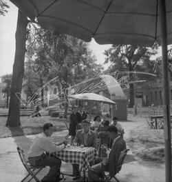 Fiera Campionaria di Vicenza 1946 Pubblico