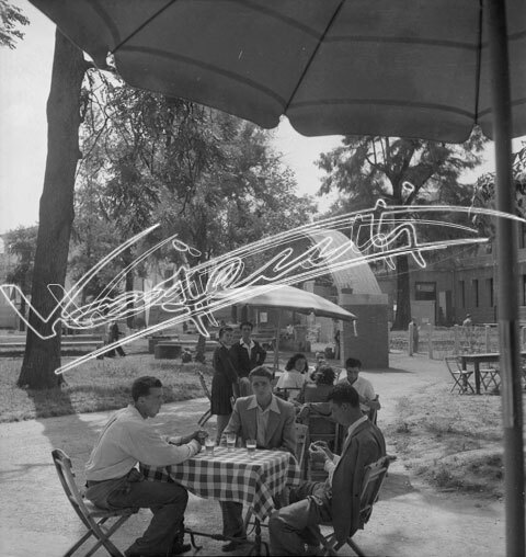Fiera Campionaria di Vicenza 1946 : Pubblico. pellicola - negativo bianco e nero fto mm 60x60