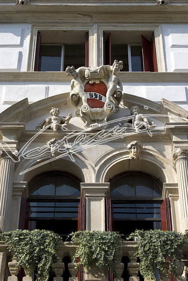 Vajenti - La storia. File digitale