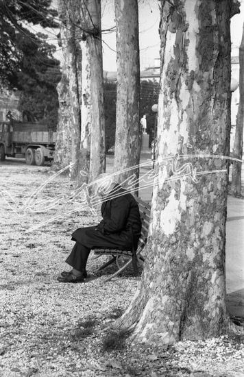 Campo Marzo. pellicola - negativo bianco e nero f.to mm 24x36
