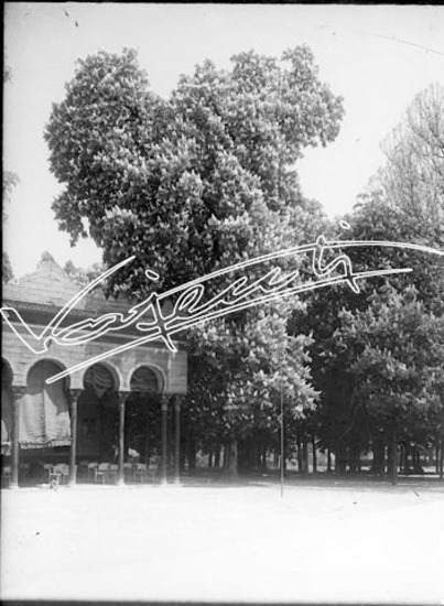 Caffè Moresco. lastra di vetro - negativo bianco e nero fto mm 180x240