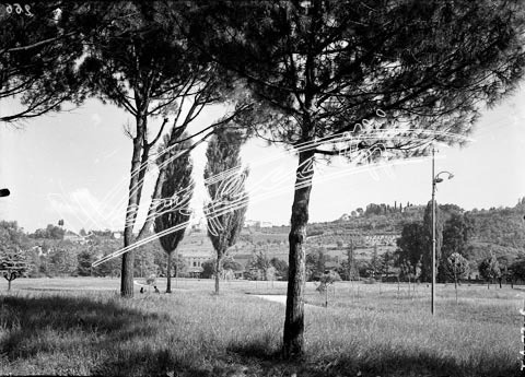 Campo Marzo. lastra di vetro - negativo bianco e nero fto mm 130x180