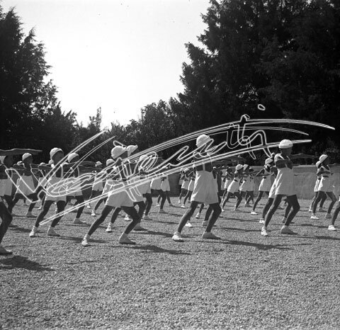 Casa del Sole. pellicola - negativo bianco e nero fto mm 60x60