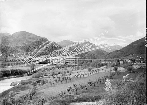 Lanificio Gaetano Marzotto. lastra di vetro - negativo bianco e nero fto mm 130x180