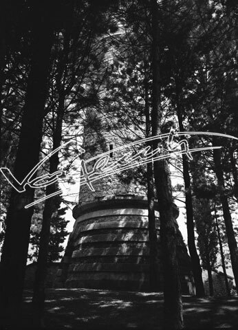 Torre Ezzelina. pellicola - negativo bianco e nero fto mm 90x120