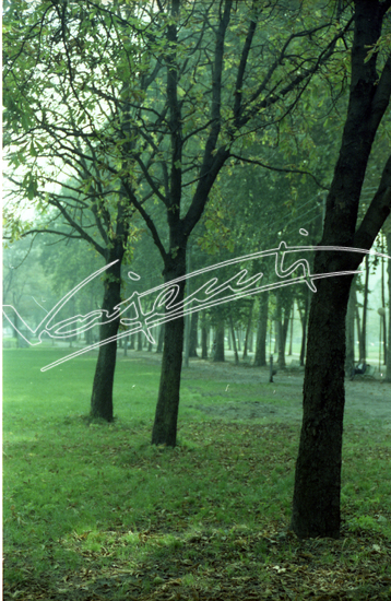 Campo Marzo. pellicola - negativo colore f.to mm 24x36