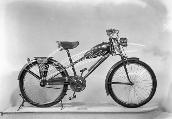 Cicli GOTT : di Chemello e Cappelletti. 